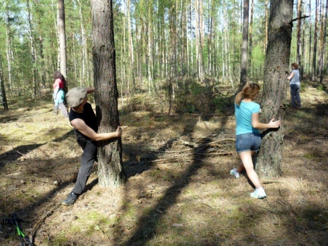 Joga Ruch Oddech - Warszaty Starzyna